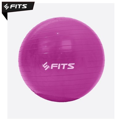 FITS POWER WRIST EXERCISER